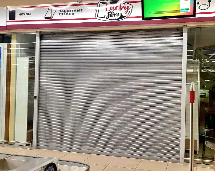 Роллетные ворота DoorHan в Туле с установкой